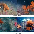 에코이앤비 제주의소리