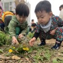 도심속 텃밭가꾸기/머리붙이기와 깎기🌱✂️ 이미지