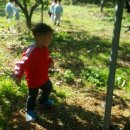 수곡농원 이미지