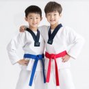 수림효태권도장 이미지