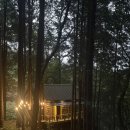 트리하우스 | 전주 근교 완주 숙소 트리하우스 내돈내산 후기