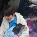 단풍나무펜션 이미지