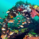 백화목장 이미지