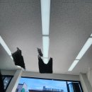 씨에스티(C.S.T) | 광주벤츠블랙박스 장착 주차녹화 가능한 스타뷰프로 교체 설치 후기