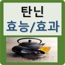 탄닌 이미지