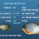 마옥환경 이미지