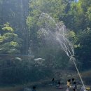 주천현대마트 이미지