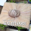 독도참가자미회 | 부산 연산동 횟집 예약 필수 주차장 있는 회식 성지 독도참가자미