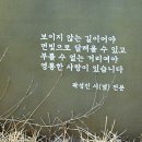 곽성진「별」 Daum카페
