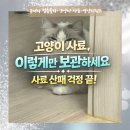 기림축산 | 고양이 사료 보관법 완전정리｜대용량·소포장·습식까지 한 번에 보는 보관 꿀팁