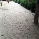 창원 해돋이 유치원 이미지