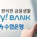 헤이코리아 이미지