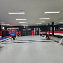 다부진 합기도 이미지