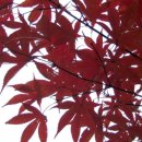 사가정공원 이미지