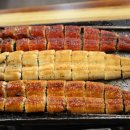 풍천장어 이미지