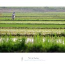 오며가며 이미지