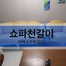 대백쇼파천갈이