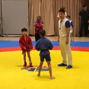 삼보