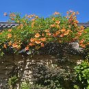 한송정 화장실 이미지