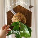 카페 사월오일 이미지