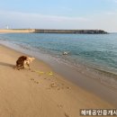 동해바다공인중개사무소 이미지