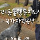 올바른 참견 이미지