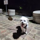 밀양댐문화관 이미지