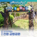 금병공원 유아숲체험원 이미지