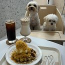 아지브 | 아지브 , 탄현 강아지 미용실 + 애견 동반 카페