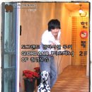 도그랜드 이미지