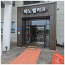 피노펠리즈 이미지