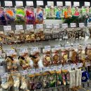 야옹아 멍멍해봐(목천점) 이미지