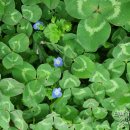 중엄 노인회관 이미지