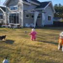 까사델뻬로 이미지