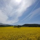 (주)파란제주 이미지