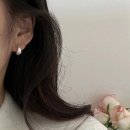 데일리 피쉬 이미지