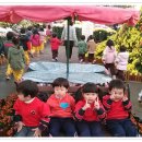 007-문산-007 이미지