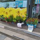 해피플라워앤카페