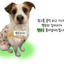 덕은펜션 네이버블로그
