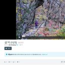 VIMEO 영상 다운로드 하는 벙법 이미지