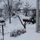 뜰이야기 이미지