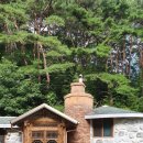 지리산 보더콜리 이미지