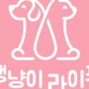 라이프24마트 이미지