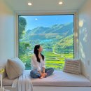 스테이외송 이미지