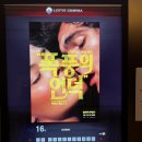 황금미가 | 폭풍의언덕 짤은후기