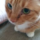 신세계온누리약국 이미지