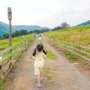 화순목장 이미지