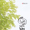 믿음목장 이미지