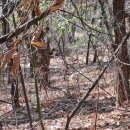 구림면사무소 이미지