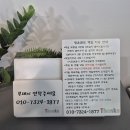 대천해수욕장 인터넷콘도 | 대천해수욕장 숙소 청운콘도 : 숙박과 루프탑 바베큐 내돈내산 후기